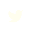 X (Twitter)